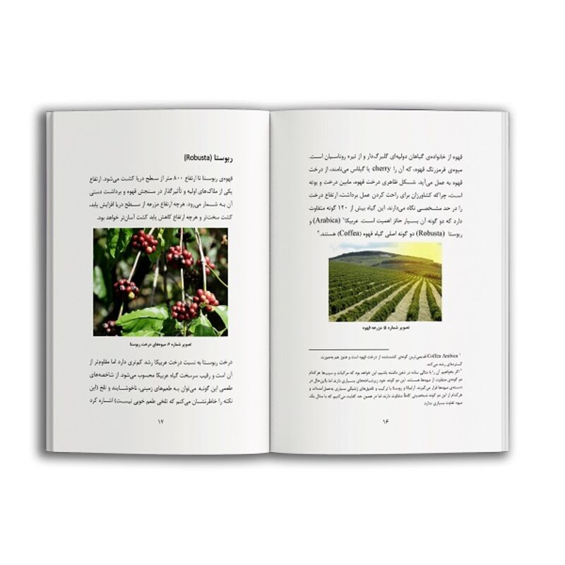 کتاب قهوه میوه ای قرمز ، دانه ای سبز gallery3